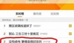 卓伟爆料洪欣老公视频,卓伟爆料背后的真相揭秘