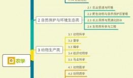 学姐学长大爆料视频大全,视频大全背后的真实故事